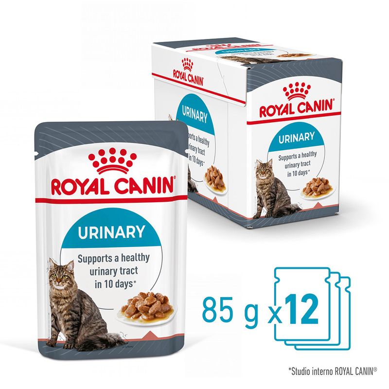 Royal Canin Urinary Care Salsa Umido per Gatto - 12x85gr Royal Canin Urinary Care Salsa Umido per Gatto - 12x85gr